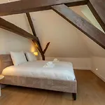 Vakantiehuis \'Boerderij Molenhof\' - Stationsweg 5 | Heinkenszand
